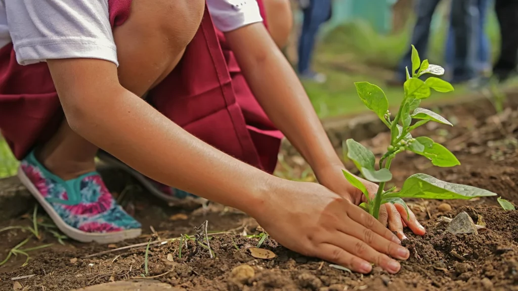 Curso Medio Ambiente