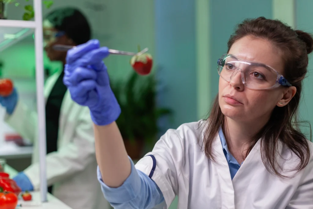 Diplomado Bioética 2