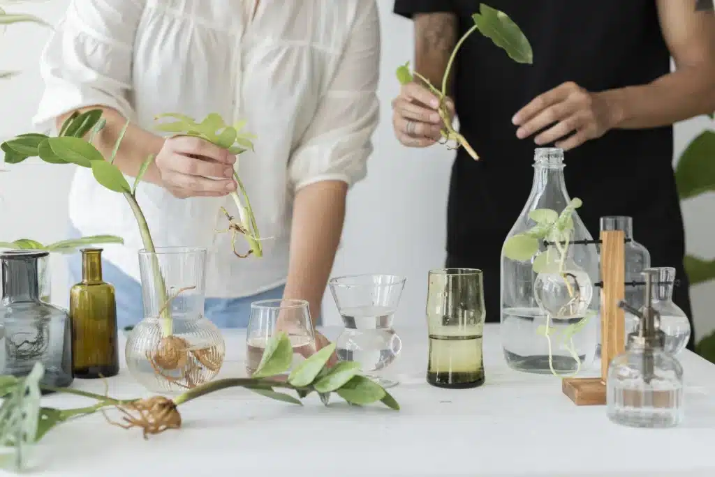 Curso cosmética natural 1