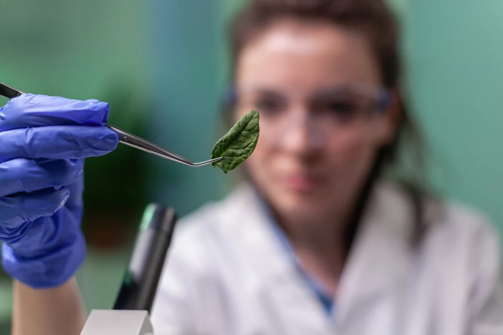 Maestría bioética 1