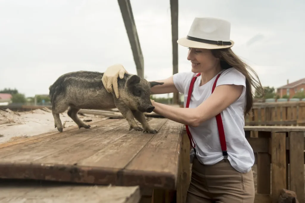 Curso en Derecho de los Animales 1