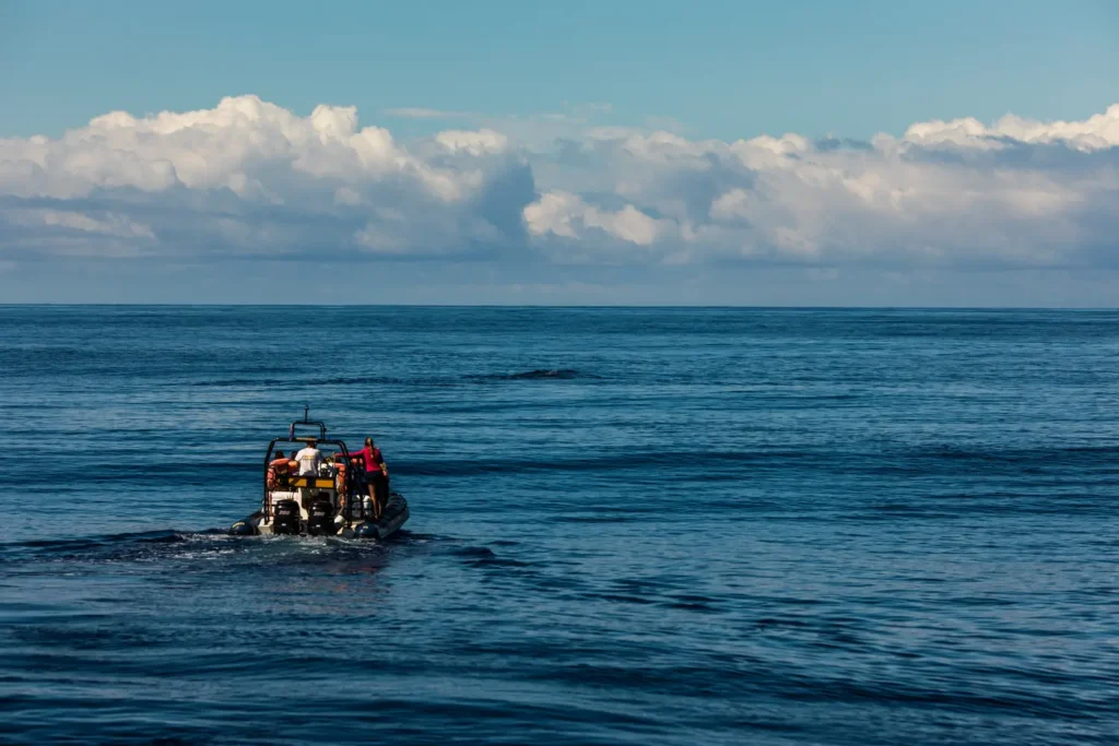 Curso en Derecho del Mar y Pesca Sostenible 1