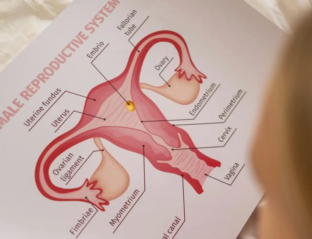 Diplomado en Ginecología Clínica 1