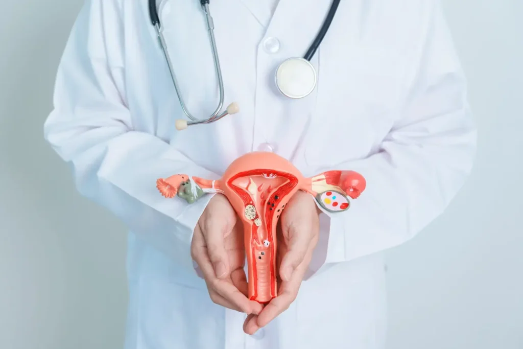Maestría Anatomía y Fisiología del Aparato Reproductor Femenino 2