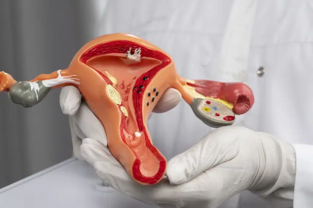 Curso de Anatomía y Fisiología del Aparato Reproductor Femenino 1