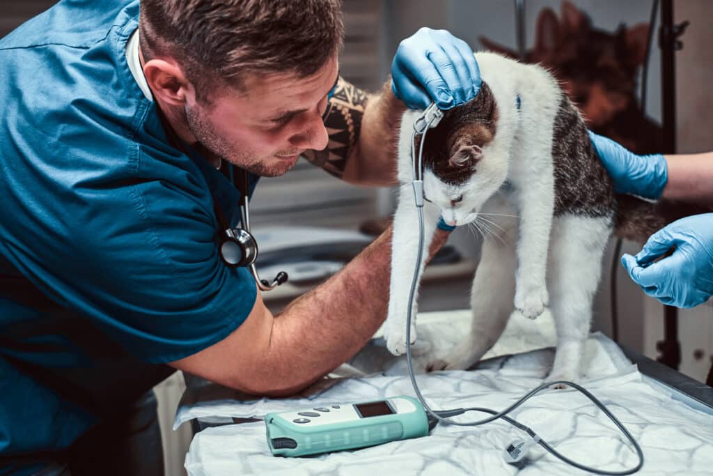 Cirugía y Anestesia Veterinaria