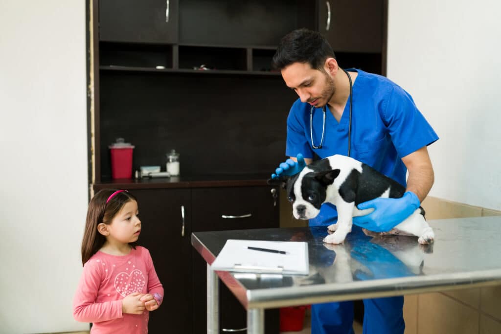 Máster Profesional en Urgencias y Cuidados Intensivos de Pequeños Animales (ECCUCI)