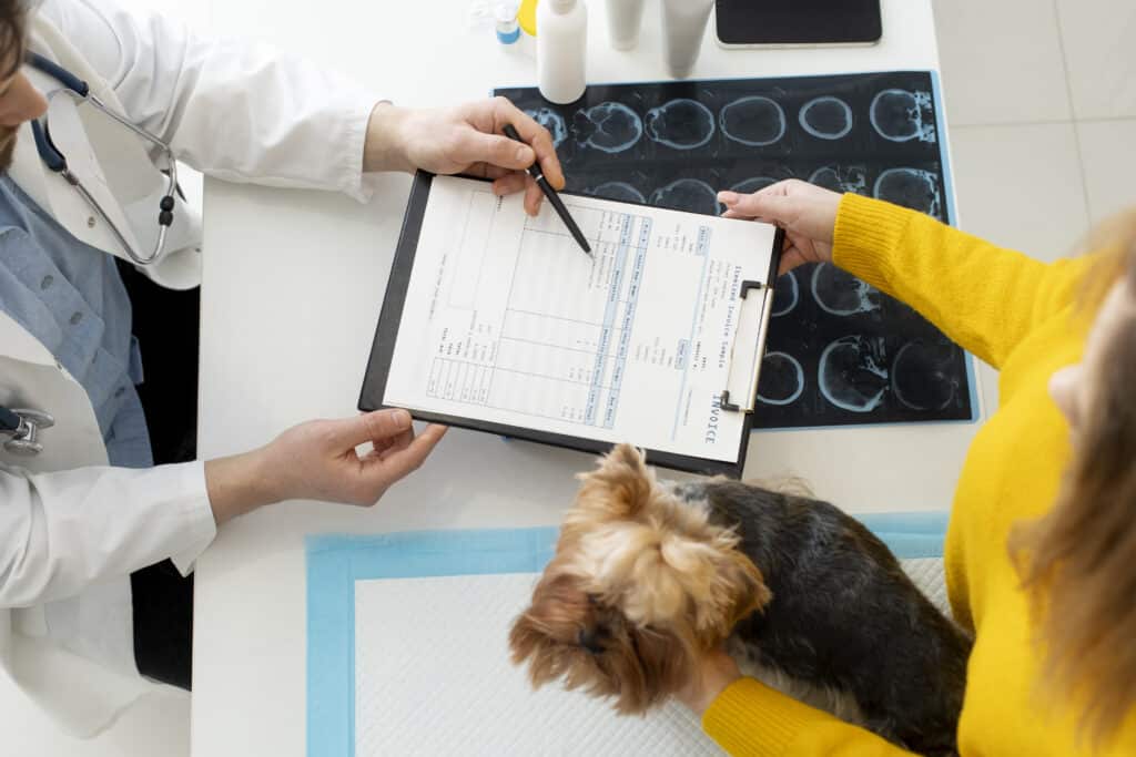 Maestría en Dermatología y Alergología Veterinaria