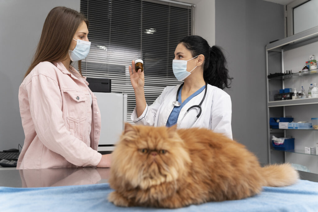 Curso de Urolitiasis Canina y Felina Diagnóstico, Dieta e Intervención