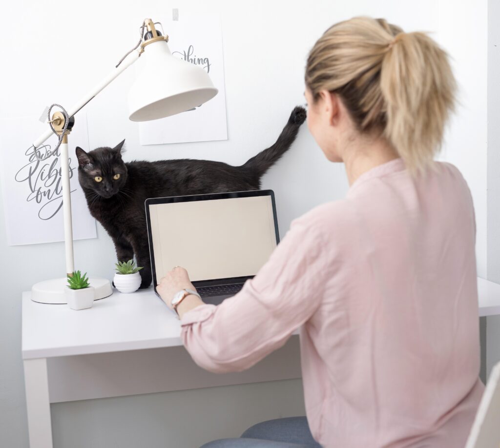 Curso sobre Programas de Adelgazamiento Basados en Evidencia (Perros y Gatos)