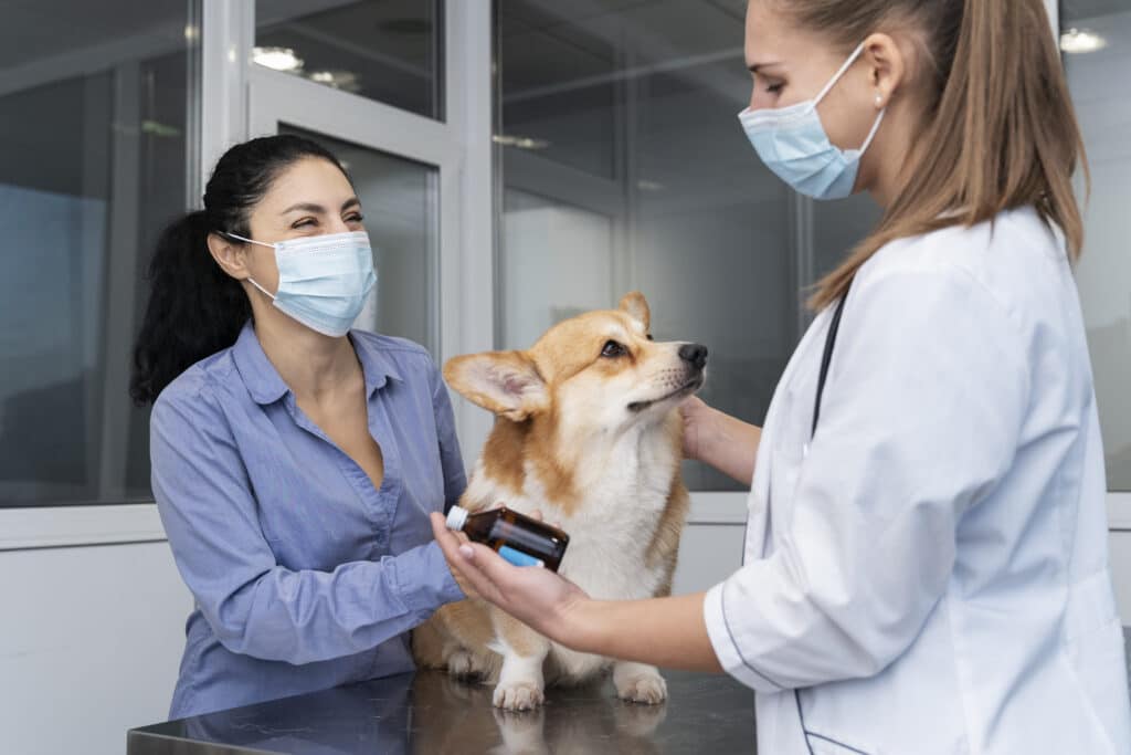 Diplomado en Atención Crítica Veterinaria Aplicada (ECCUCI)