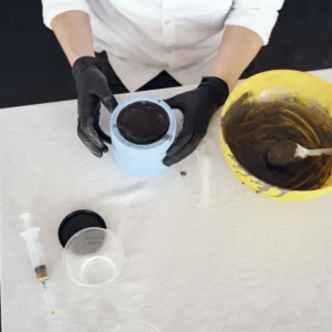 Diplomado en Muestreo y Análisis de Microplásticos Ambientales