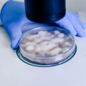 Diplomado en Tecnologías de Mitigación y Tratamiento de Microplásticos 1