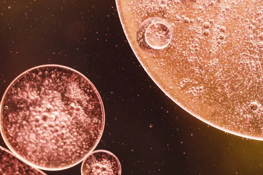 Maestría en Skin Barrier y Reparación Cutánea Microbioma y Barrera 1