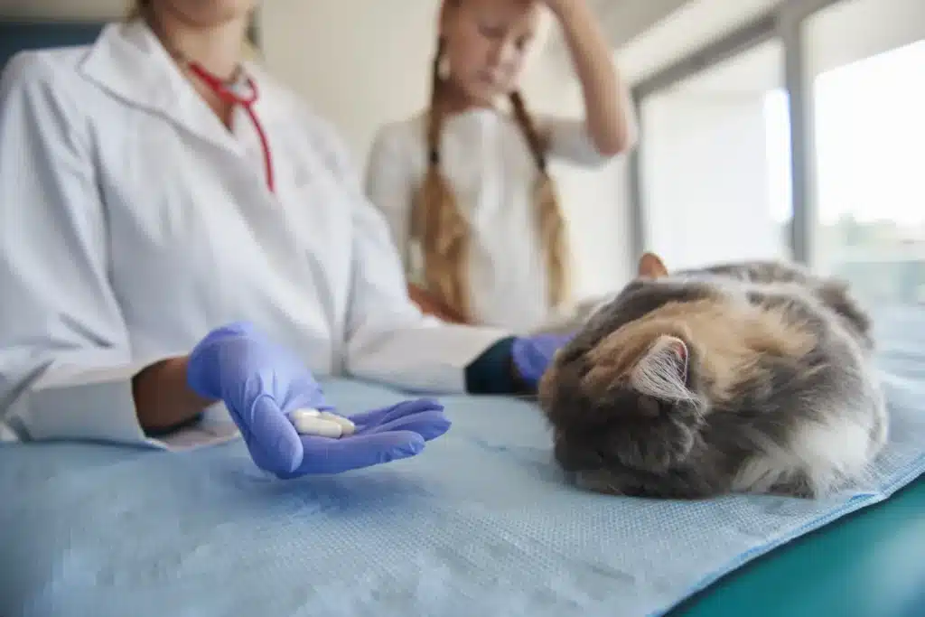 Diplomado en Anestesia en Pequeños Animales 1