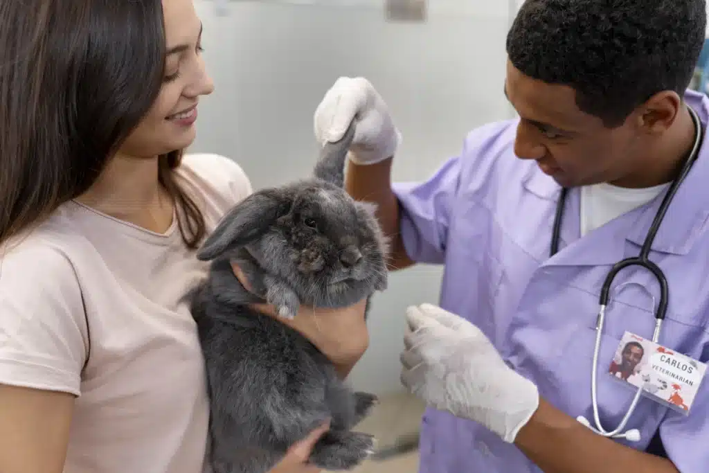 Diplomado en Anestesia en Pequeños Animales 2