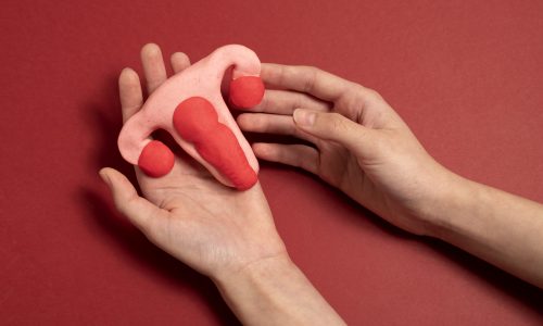 Anatomía y Fisiología del Aparato Reproductor Femenino