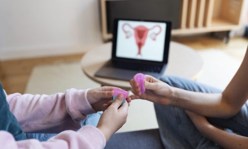 Anatomía y Fisiología del Aparato Reproductor Femenino
