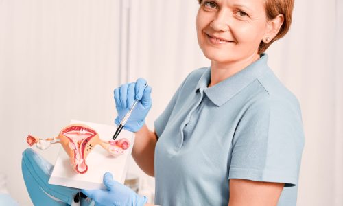 Diplomado en Ciclo Menstrual y Endocrinología Reproductiva
