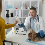 Curso de Urolitiasis Canina y Felina Diagnóstico, Dieta e Intervención