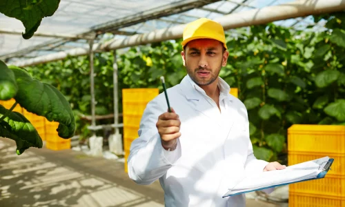 Curso en Derecho de la Agricultura y Alimentos