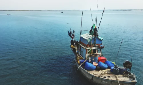 Curso en Derecho del Mar y Pesca Sostenible