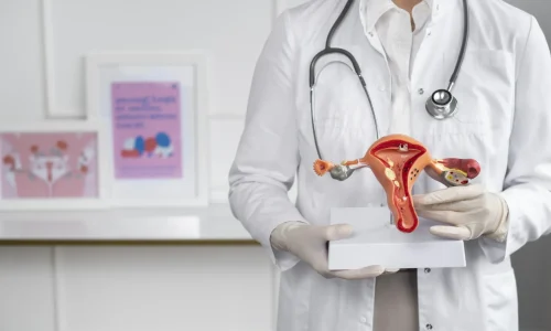 Curso ciclo Menstrual y Endocrinología Reproductiva