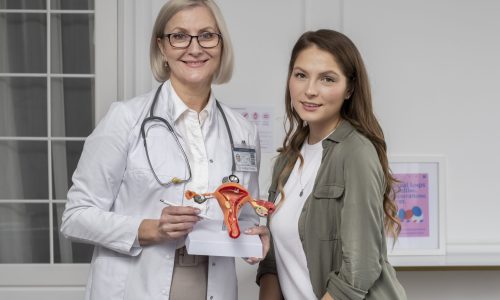 Maestría Anatomía y Fisiología del Aparato Reproductor Femenino
