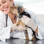 Maestría en Nutrición Clínica y Gestión de Peso en Pequeños Animales 2