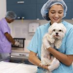 Diplomado en Dermatología Clínica y Otología en Pequeños Animales