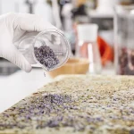 Máster en Ingeniería de Tratamiento y Remediación de Microplásticos 1